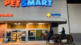 Police horse makes ‘nice list,’ goes holiday shopping at PetSmart