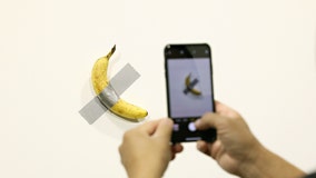 Man grabs $120,000 banana duct taped to wall in art project and eats it
