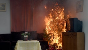 It's time to get rid of your Christmas tree, fire officials say