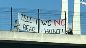 'No bear hunt': Protestors hang banner over I-4 against having another bear hunt