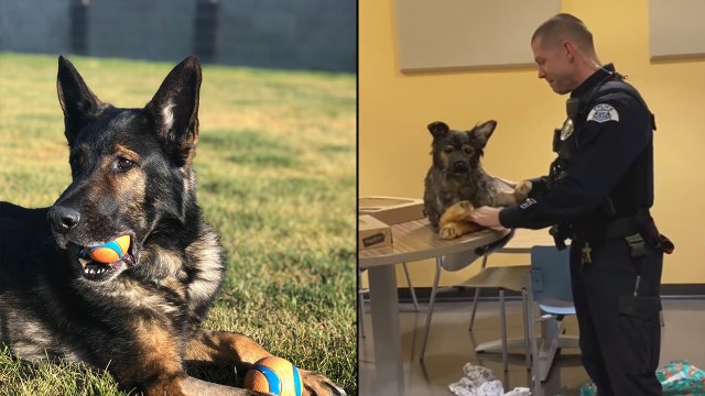 Officer moved to tears after being gifted with stuffed animal resembling his late K-9 partner