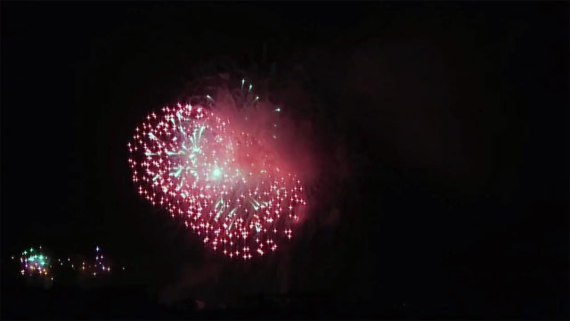 New Florida bill would allow people to set off fireworks without pretense of 'frightening birds'