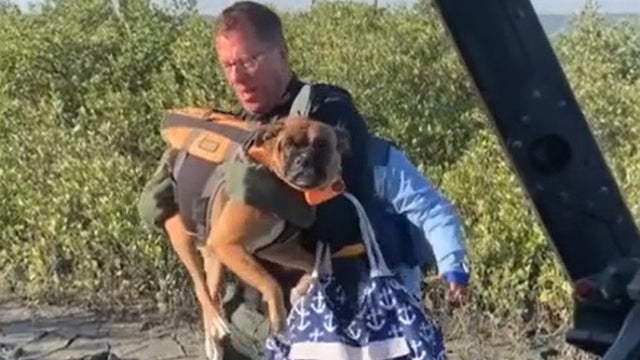 Elderly Florida couple, dogs rescued after boat is stranded for nearly 24 hours