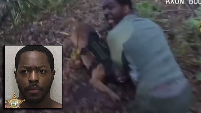 Sheriff: Burglary suspect chokes Florida K-9 during pursuit, dog bites back in the end