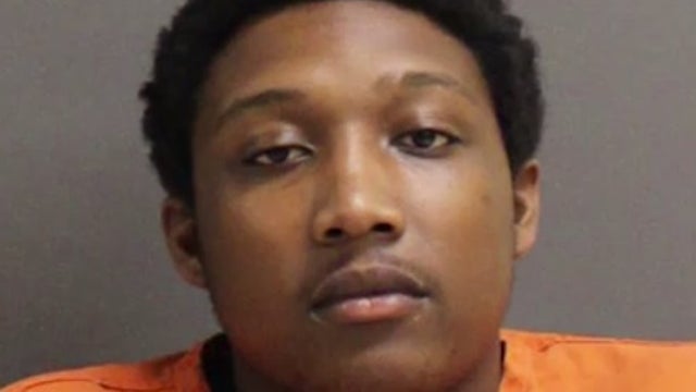 Toddlers found wandering alone outside, father arrested, Port Orange police say