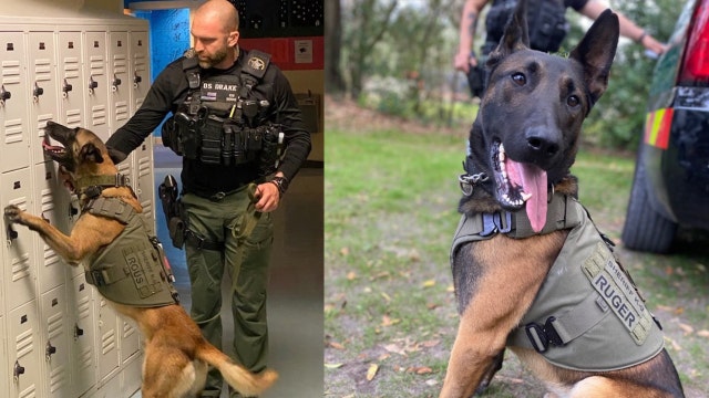 Florida Sheriff's Office K-9's gifted with bulletproof vests