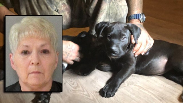 Flagler County woman shot neighbor and puppy with BB gun, deputies say