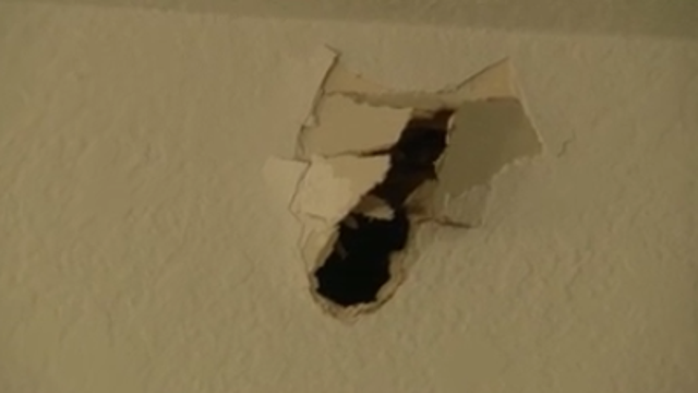 Report: Off-duty Holly Hill police officer fired shot into apartment below him