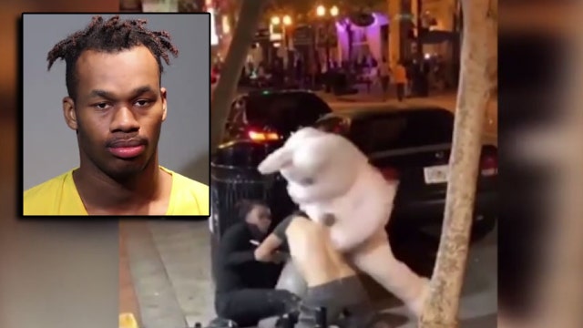 'I'm the Orlando Easter Bunny. Google it': Man in infamous bunny suit facing hit-and-run charges