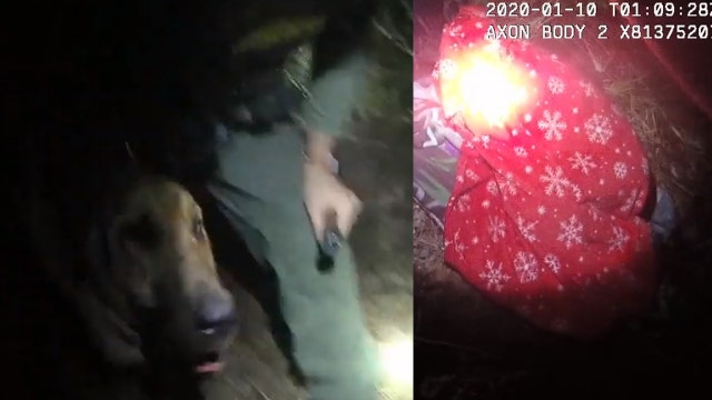 Florida K-9 Holmes tracks down missing 11-year-old boy