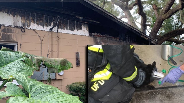 1 cat dead, homeowner and second cat being treated after Orlando house fire