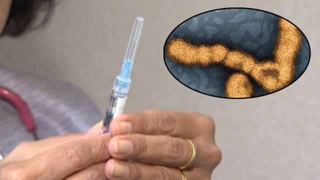 Florida health officials urge residents to get their flu shot ASAP as the virus spreads rapidly