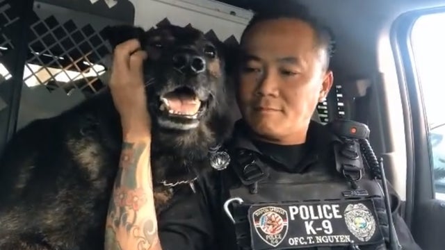 Florida K-9 retires on his birthday, officers pay tribute with heartwarming final sign-off