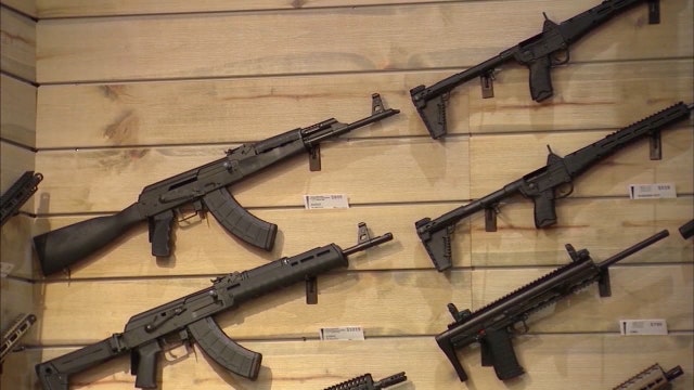Florida Senate panel backs gun control measure