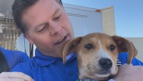 FOX 35 anchor adopts shelter dog after bonding during 'Fur Bowl' segment