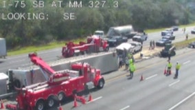 FHP: Tractor-trailer with cows inside overturns on I-75 northbound near Wildwood