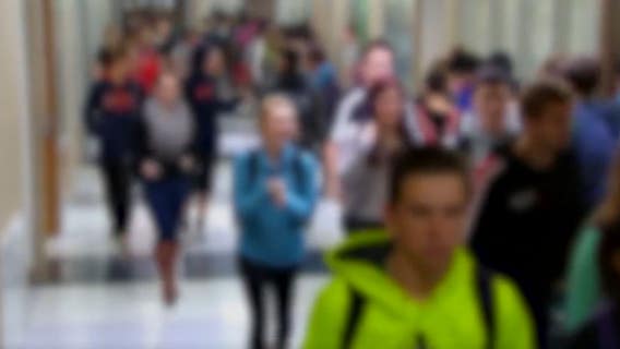 Mental health days sought for Florida students