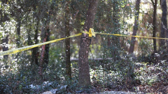 Deputies: Human remains discovered in backyard of Florida home
