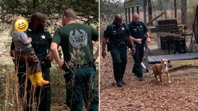 Family dog protects boy, 3, lost in Florida woods until police arrived