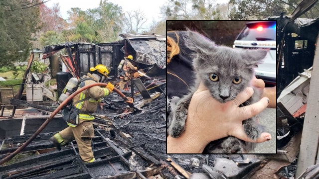 Kitten escapes massive house fire in Orange County