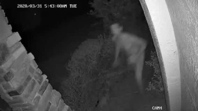 Deputies: Florida mother shoots burglar who entered home because 'dinosaurs were chasing him'