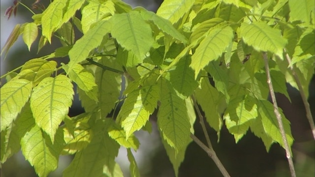 List of state park closures in Florida during coronavirus outbreak