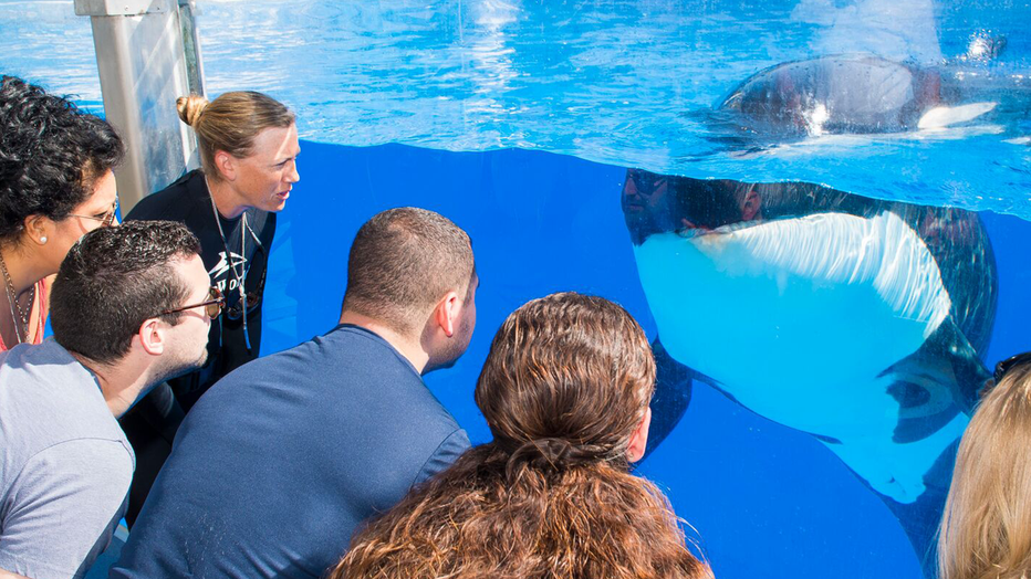 seaworld20orlando20web_1516032346740.png_4810467_ver1.0.jpg