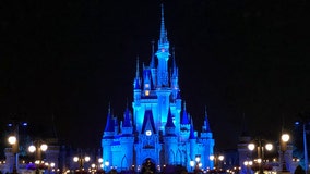 Disney lights up Cinderella's Castle in blue to honor healthcare workers