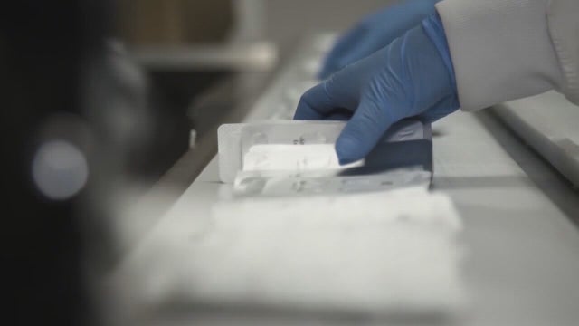 Experimental medications, therapies in the works in effort to treat COVID-19 coronavirus