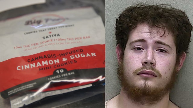 Deputies: Florida man arrested after he is found with hallucinogenic mushrooms, cannabis cookies, LSD