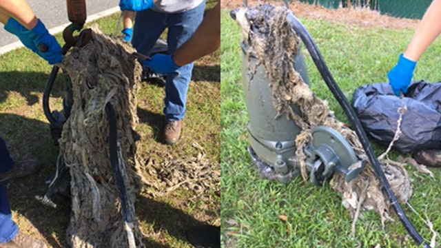 Florida city reminds residents to only flush toilet paper, human waste to avoid damaging sewer systems