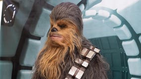 May the 4th be with you: Disney Plus honors ‘Star Wars Day’ with 3 new releases