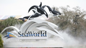 Report: SeaWorld loses $56.5 million in first quarter