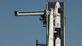 SpaceX's Crew Dragon spacecraft raised into position ahead of upcoming manned mission