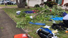 2 skydivers land in tree in Brevard County, rushed to hospital with injuries