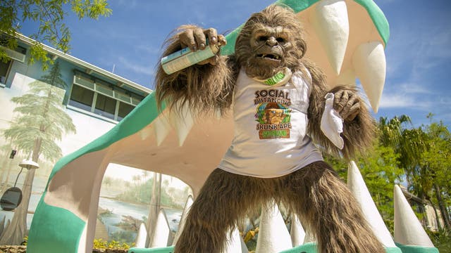 'Skunk Ape' to promote social distancing at Gatorland upon reopening