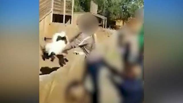 Local petting zoo employee fired after video of goat tossing surfaces