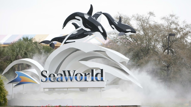 Report: SeaWorld loses $56.5 million in first quarter