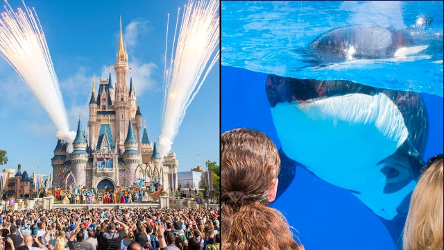 Walt Disney World, SeaWorld Orlando to present reopening plans on Wednesday