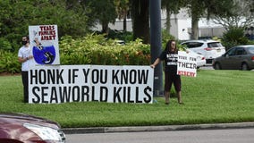 'Tell them to stay closed': PETA protests outside of SeaWorld Orlando upon reopening