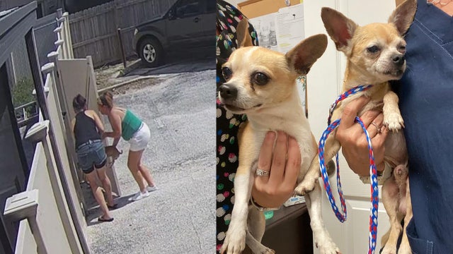 Brevard shelter searching for women caught on camera ditching 2 Chihuahua's