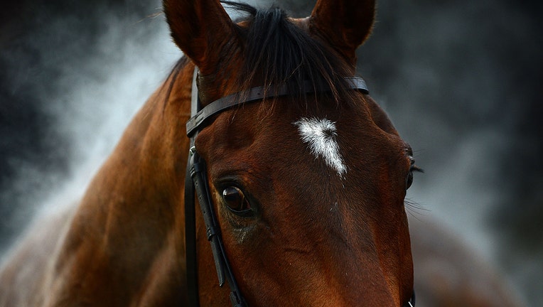 GETTY horse 011219