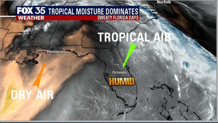 tropical-airmass.jpg