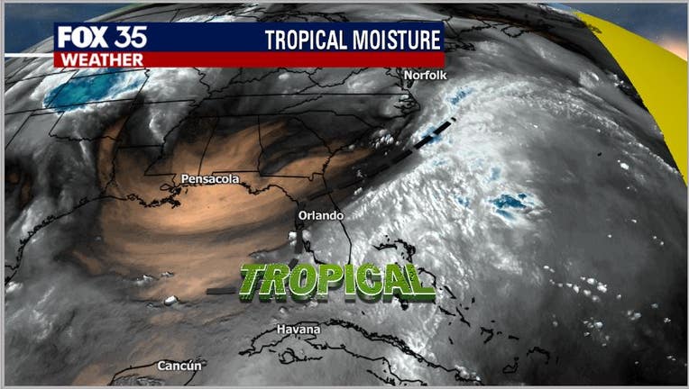 tropical.jpg