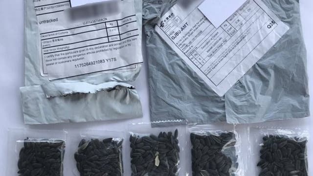 Florida officials, other states warn about mysterious seeds sent from China