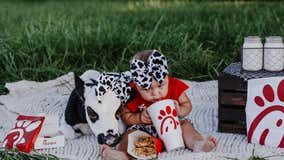 Florida baby, rescued calf delight social media with Chick-fil-A photoshoot