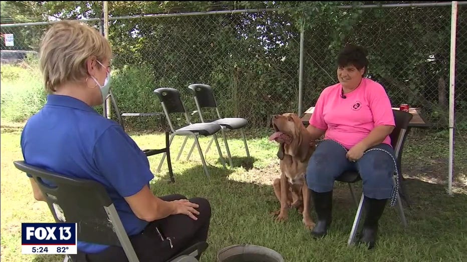 rescued-bloodhound-polk-florida-3.jpg