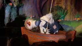 Animatronic goose malfunctions at Magic Kingdom's Splash Mountain ride