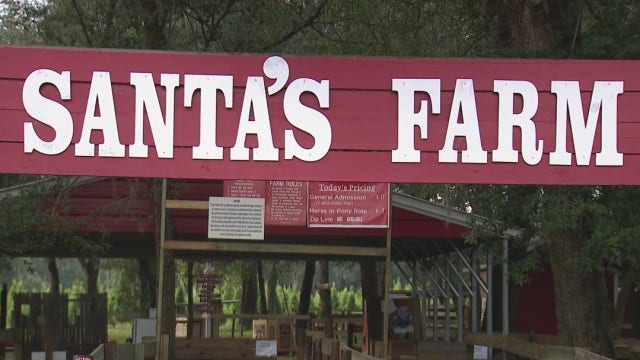 Popular Lake County Christmas tree farm business harassed over mask policy