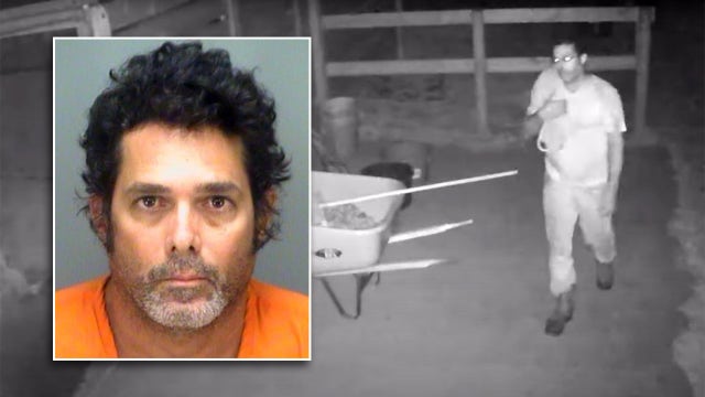 Pinellas man arrested for slaughtering Palmetto horse